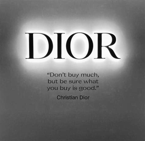 christian Dior vision